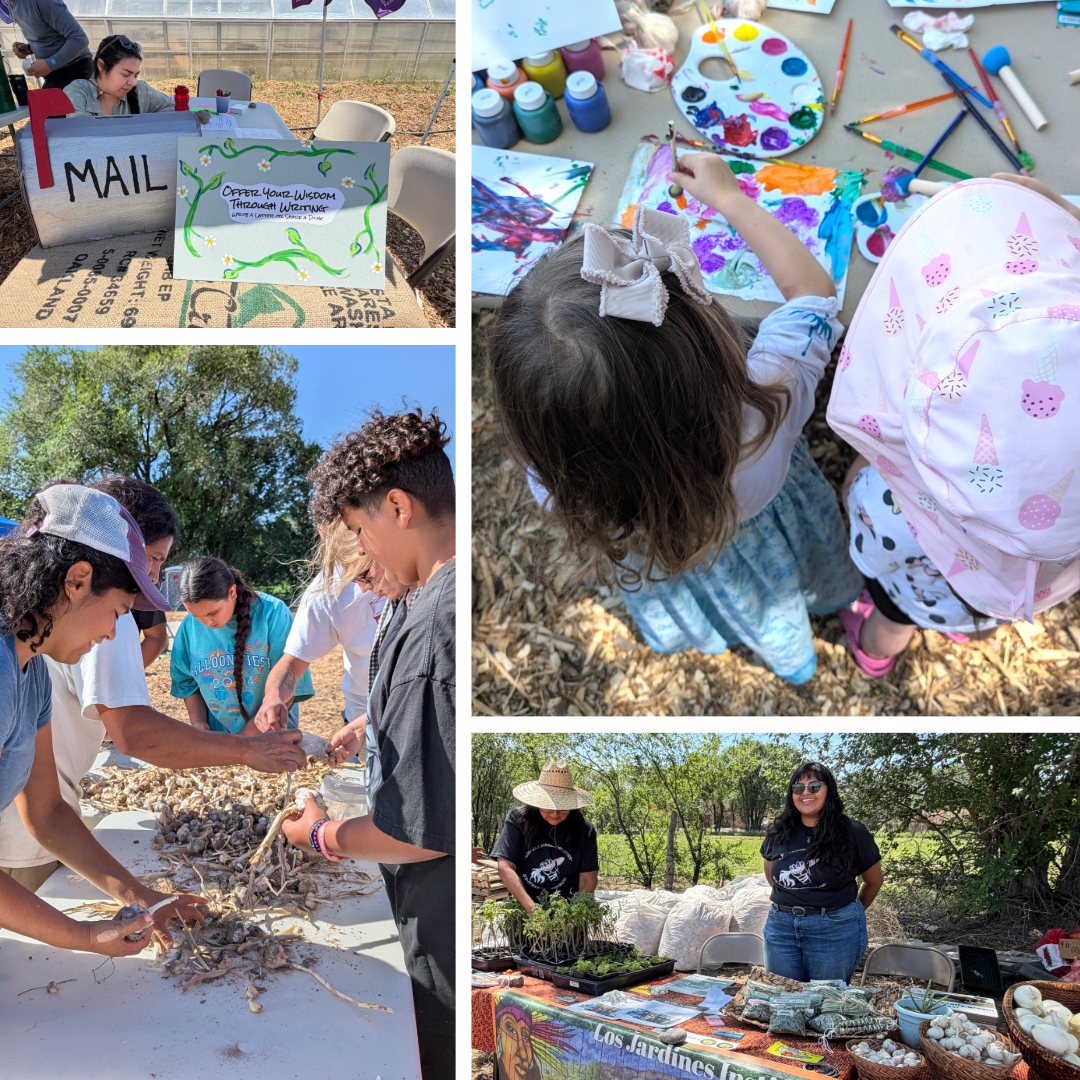 A collage of activities from the Northern New Mexico Garlic Festival at Sostenga Farm. Images show children painting at an arts station, participants sorting freshly harvested garlic during a hands-on competition, visitors exploring a community booth with seedlings, garlic, and educational materials, and a creative letter-writing station inviting guests to reflect and connect through art and storytelling.