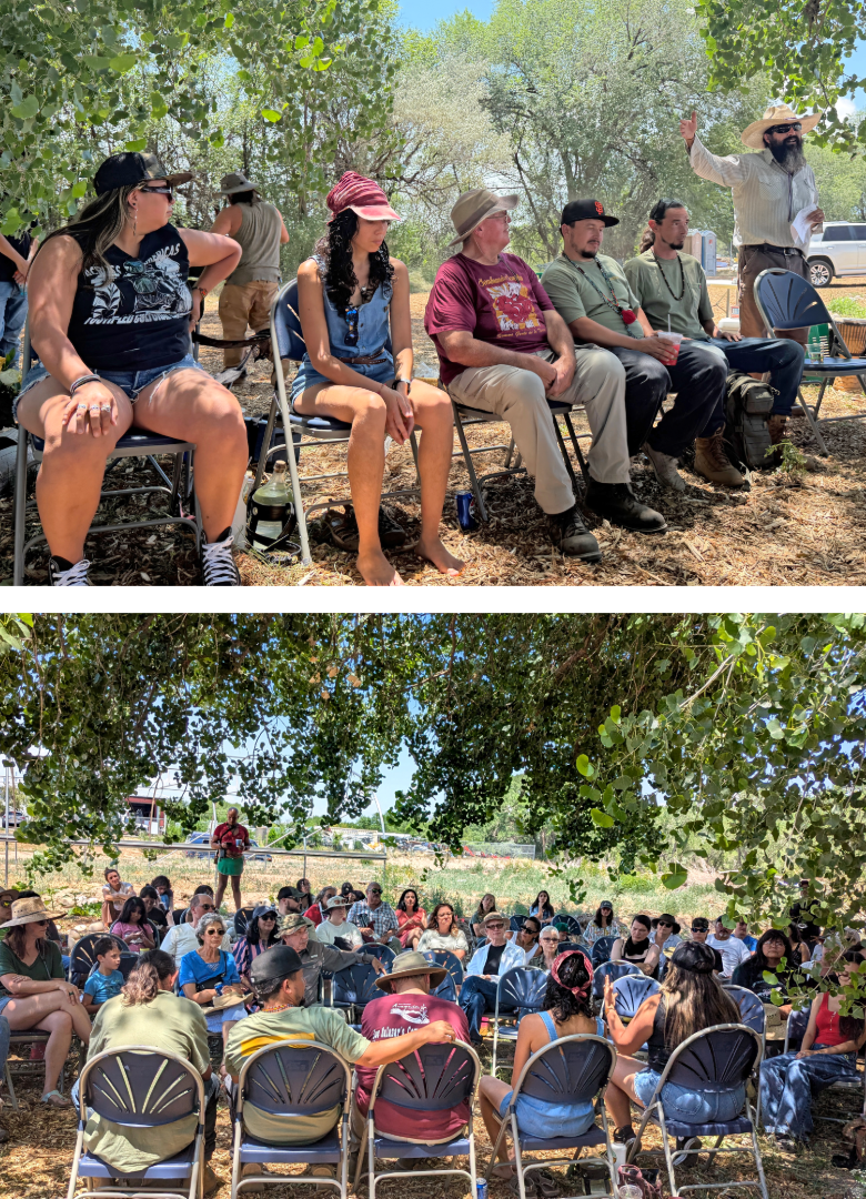discussion exploring drought, groundwater conservation, acequia traditions, regenerative agriculture, and the role of beavers in restoring healthy watersheds. The conversation reflected the festival's commitment to land-based education and learning through community dialogue. Community members gather beneath the cottonwood trees for an outdoor panel discussion on agriculture, water, and environmental stewardship during the Northern New Mexico Garlic Festival.