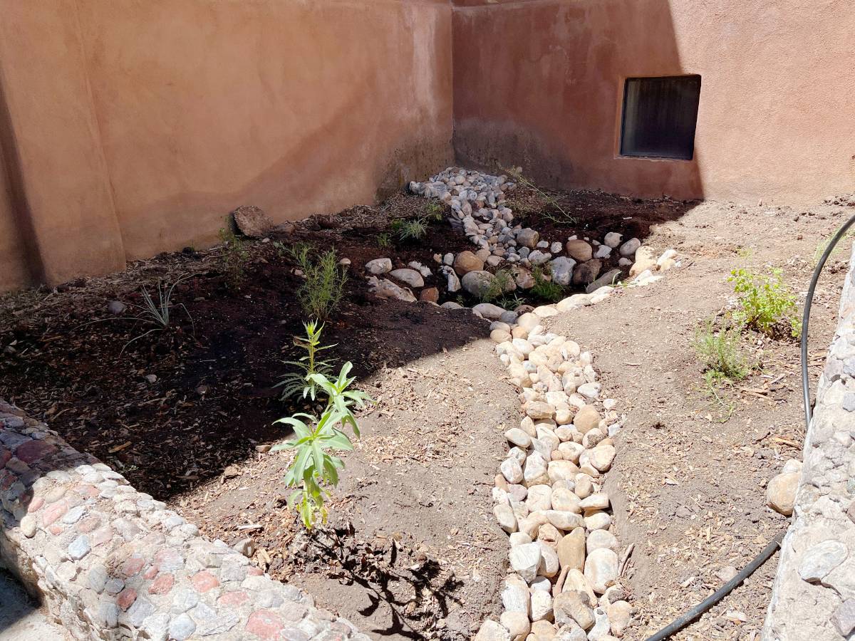 First plantings along the rock-lined swale in the newly established Rain Garden.